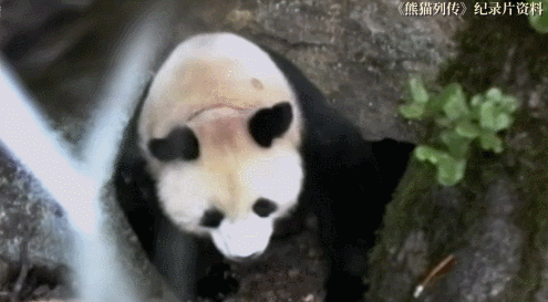 微信图片_20211201160931.gif