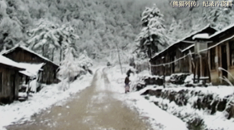 微信图片_20211201161247.gif