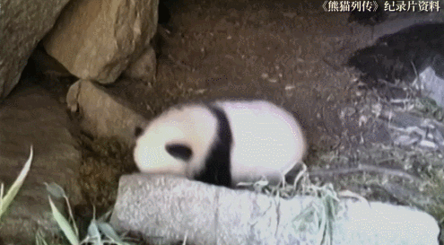 微信图片_20211201161006.gif