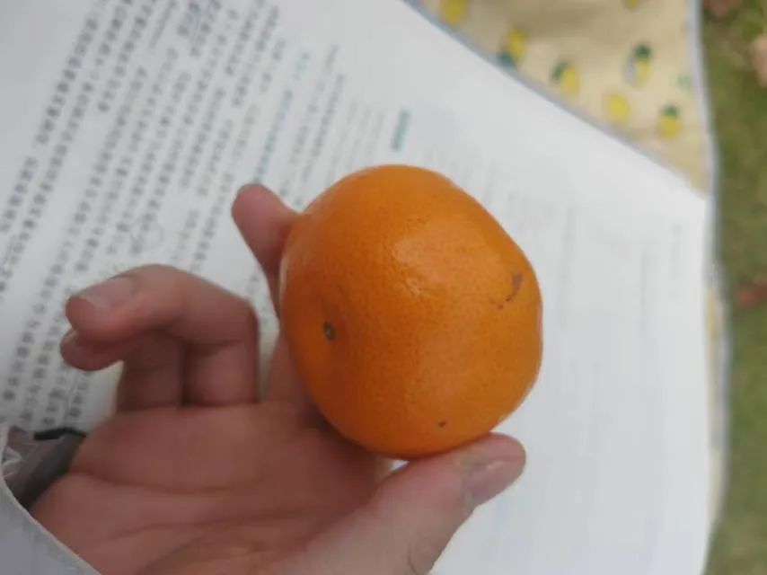 8013