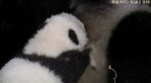 微信图片_20211201160935.gif