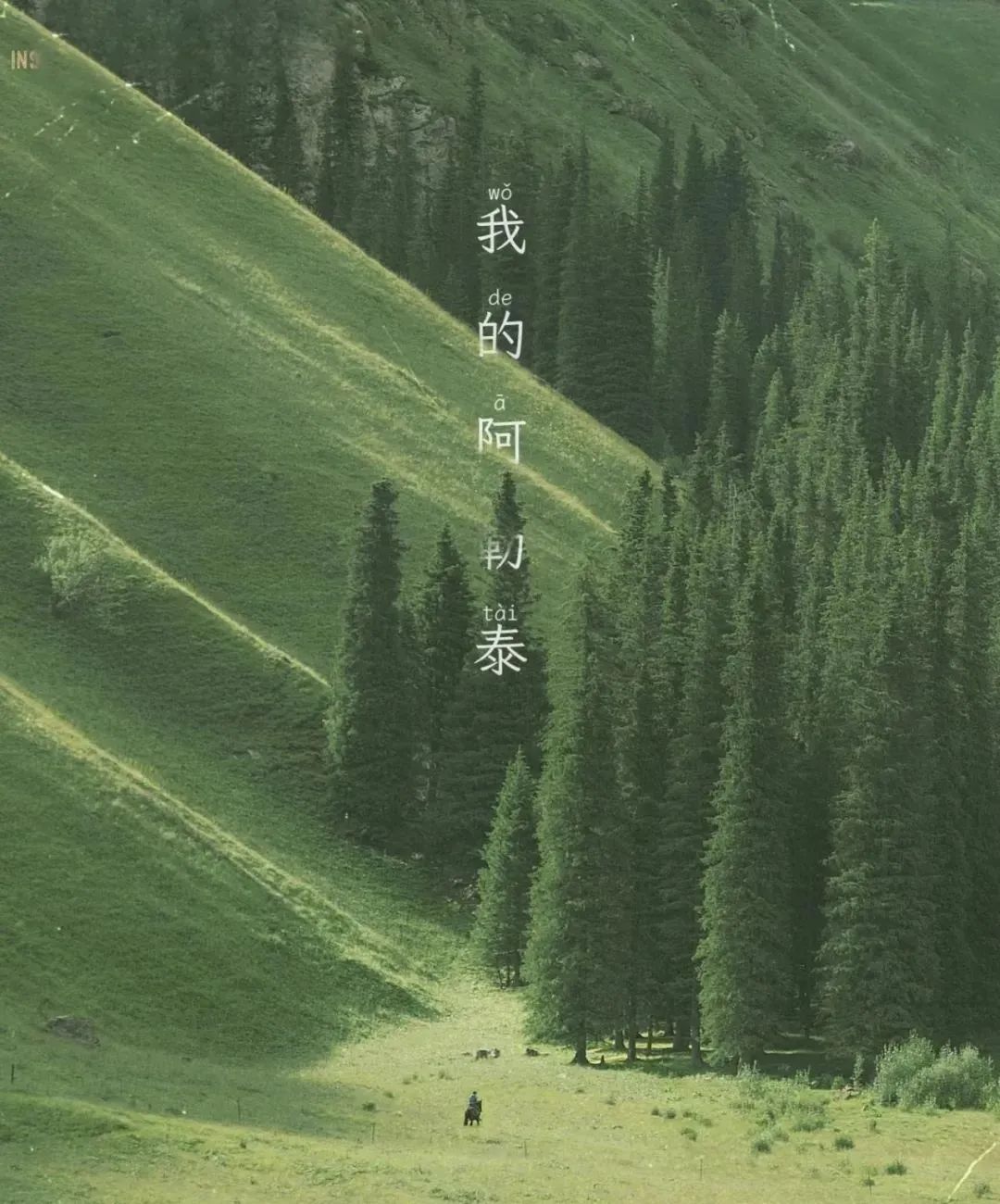 33817